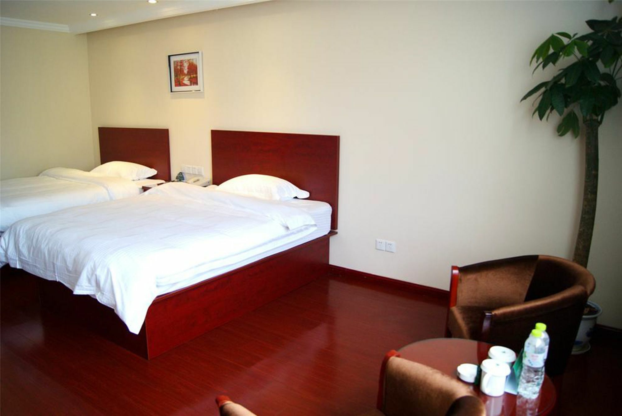 Greentree Alliance Shenzhen Shekou Sea World Hotel Esterno foto